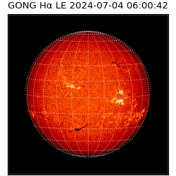 gong - 2024-07-04T06:00:42