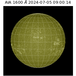 saia - 2024-07-05T09:00:14.126000