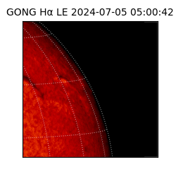gong - 2024-07-05T05:00:42