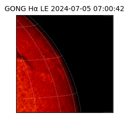 gong - 2024-07-05T07:00:42