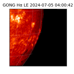 gong - 2024-07-05T04:00:42