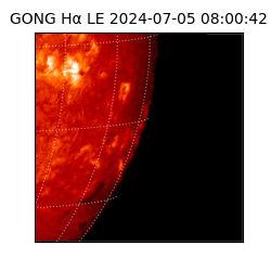 gong - 2024-07-05T08:00:42
