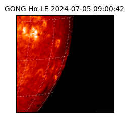 gong - 2024-07-05T09:00:42