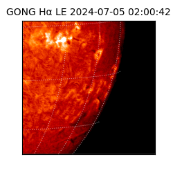 gong - 2024-07-05T02:00:42