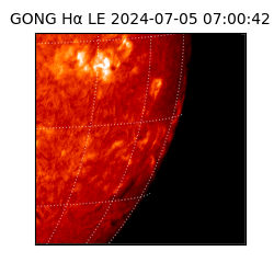 gong - 2024-07-05T07:00:42