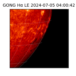 gong - 2024-07-05T04:00:42