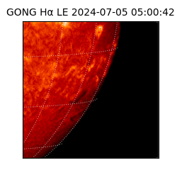 gong - 2024-07-05T05:00:42