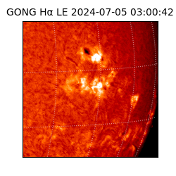 gong - 2024-07-05T03:00:42