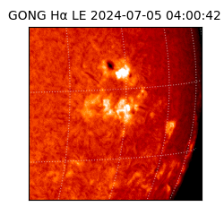 gong - 2024-07-05T04:00:42