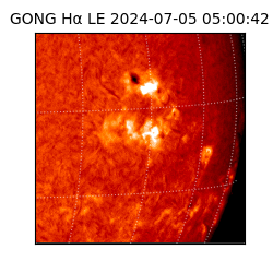 gong - 2024-07-05T05:00:42