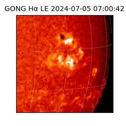 gong - 2024-07-05T07:00:42