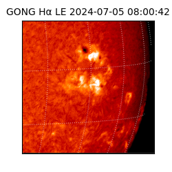 gong - 2024-07-05T08:00:42