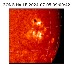 gong - 2024-07-05T09:00:42