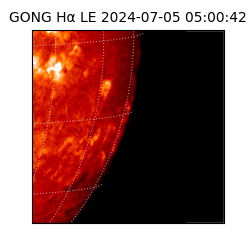 gong - 2024-07-05T05:00:42