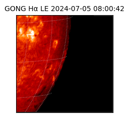 gong - 2024-07-05T08:00:42