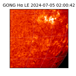 gong - 2024-07-05T02:00:42