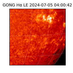 gong - 2024-07-05T04:00:42