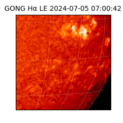 gong - 2024-07-05T07:00:42