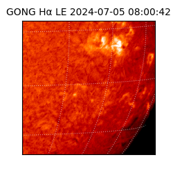 gong - 2024-07-05T08:00:42