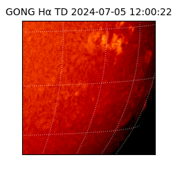 gong - 2024-07-05T12:00:22