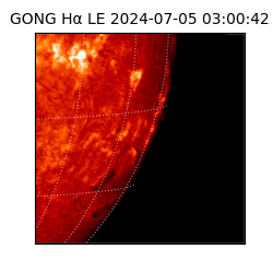 gong - 2024-07-05T03:00:42