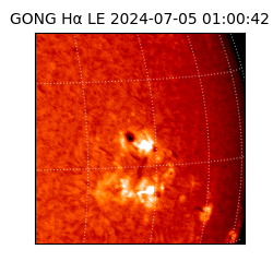 gong - 2024-07-05T01:00:42