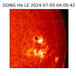 gong - 2024-07-05T04:00:42