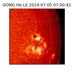 gong - 2024-07-05T07:00:42