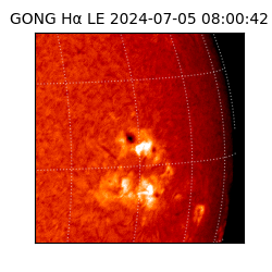 gong - 2024-07-05T08:00:42