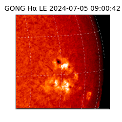 gong - 2024-07-05T09:00:42