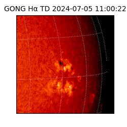 gong - 2024-07-05T11:00:22