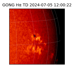 gong - 2024-07-05T12:00:22