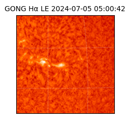gong - 2024-07-05T05:00:42