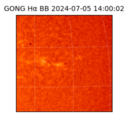 gong - 2024-07-05T14:00:02