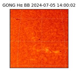 gong - 2024-07-05T14:00:02