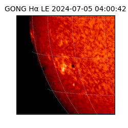 gong - 2024-07-05T04:00:42