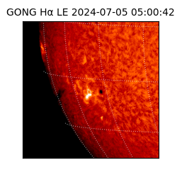 gong - 2024-07-05T05:00:42