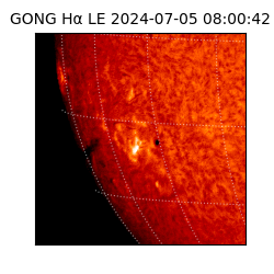 gong - 2024-07-05T08:00:42