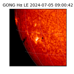 gong - 2024-07-05T09:00:42