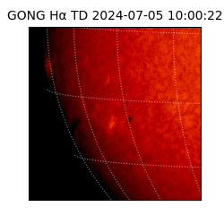 gong - 2024-07-05T10:00:22