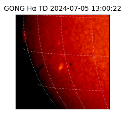 gong - 2024-07-05T13:00:22