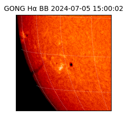 gong - 2024-07-05T15:00:02