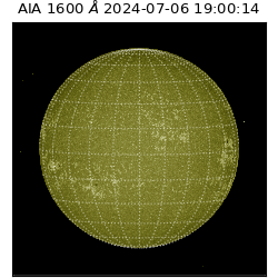 saia - 2024-07-06T19:00:14.129000