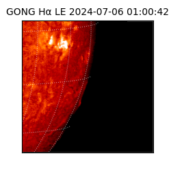 gong - 2024-07-06T01:00:42