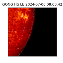 gong - 2024-07-06T08:00:42