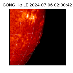 gong - 2024-07-06T02:00:42