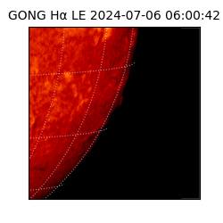 gong - 2024-07-06T06:00:42
