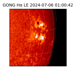 gong - 2024-07-06T01:00:42