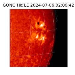 gong - 2024-07-06T02:00:42