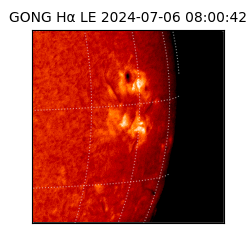 gong - 2024-07-06T08:00:42